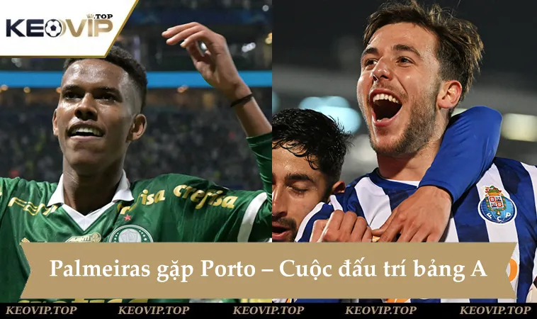 soi keo palmeiras vs porto 05h00 ngay 16 6 Soi kèo Palmeiras vs Porto, hứa hẹn một cuộc đấu trí bảng A