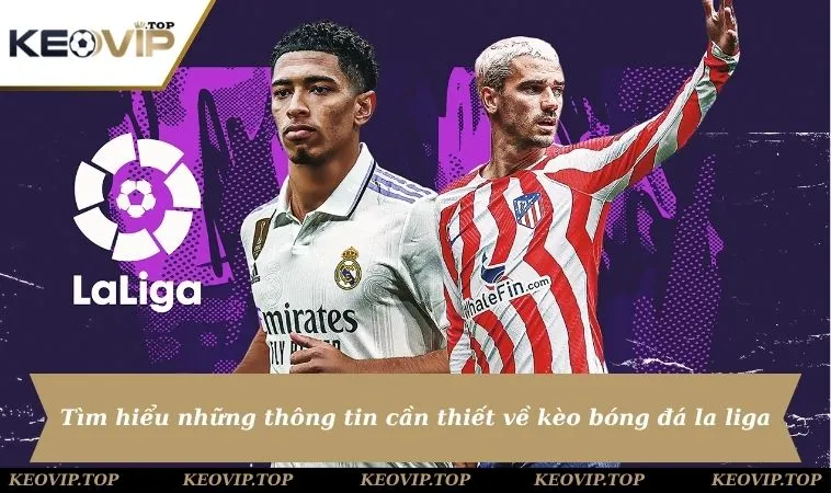 tim hieu ve keo bong da la liga Tìm hiểu những thông tin cần thiết về kèo bóng đá la liga