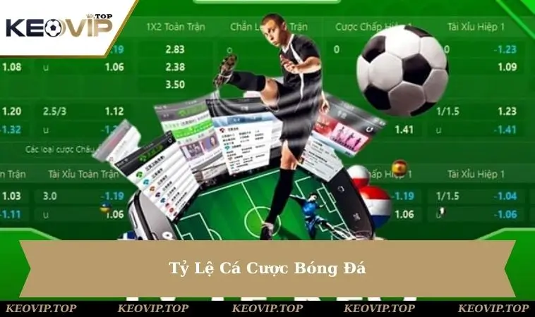 ty-le-ca-cuoc-bong-da