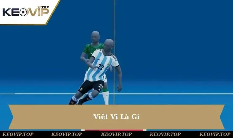 viet-vi-la-gi