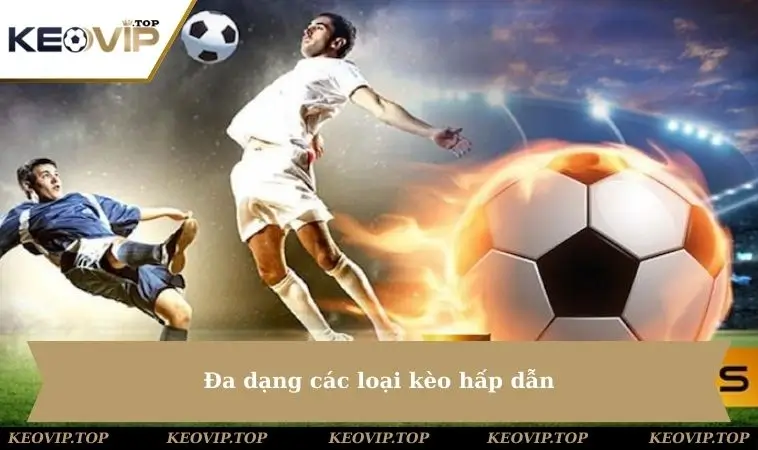 da dang cac loai keo hap dan Đa dạng các loại kèo hấp dẫn