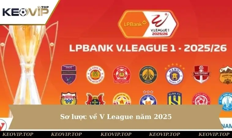 so luoc ve v league nam 2025 Sơ lược về V League năm 2025